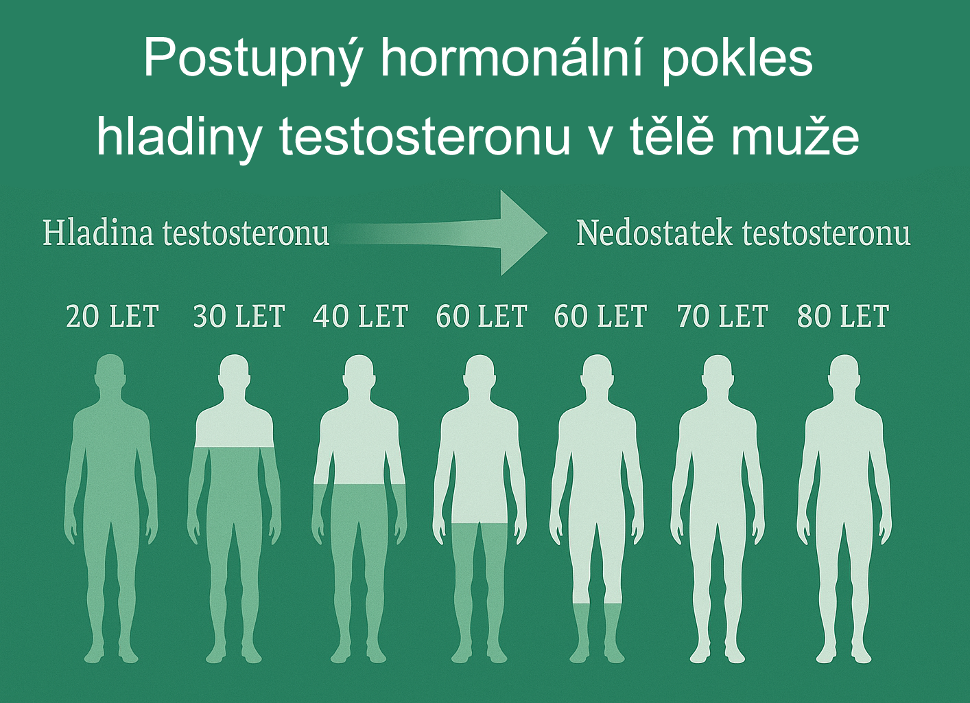 Hladina testosteronu